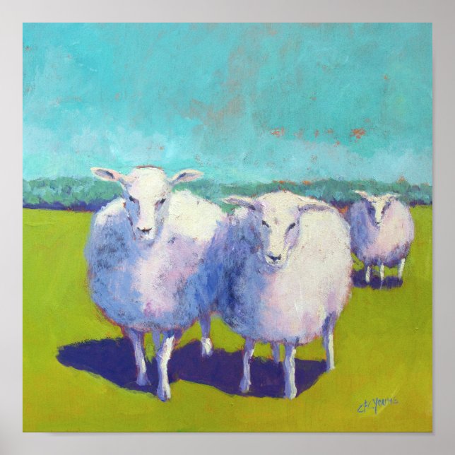 Two Sheep In Field Poster (Front)