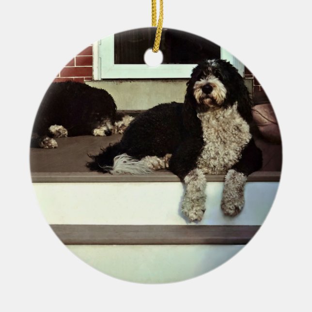 Two Sheepadoodles On Porch Ceramic Ornament (Front)