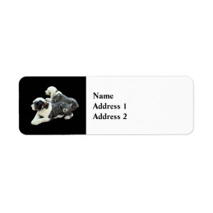 Two Sheepdogs Label