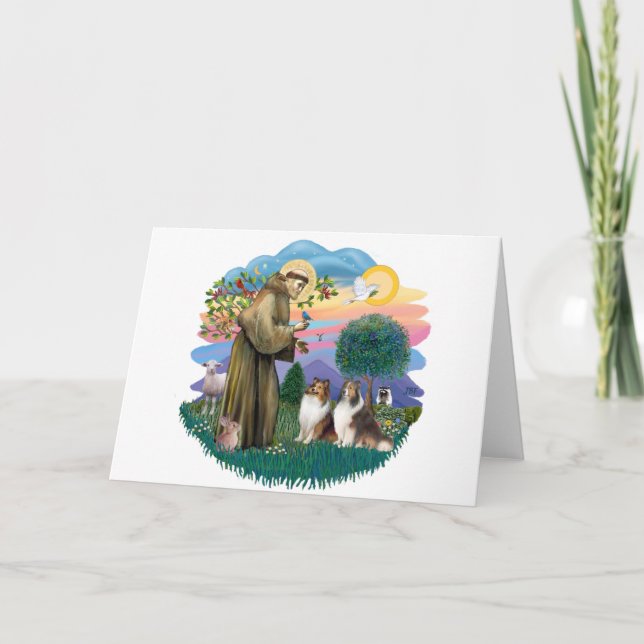 Two Shelties - St. Francis (ff) Card (Front)