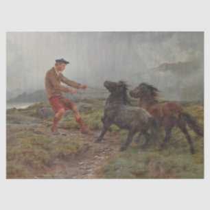 Two Shetland Ponies in a Misty Scottish Landscape Tissue Paper