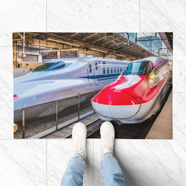 Two Shinkansen at the Tokyo Station Doormat (Indoor)