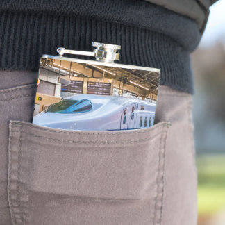 Two Shinkansen at the Tokyo Station Flask