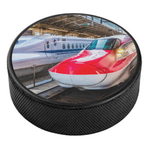 Two Shinkansen at the Tokyo Station Hockey Puck
