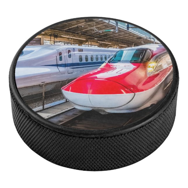 Two Shinkansen at the Tokyo Station Hockey Puck (3/4)