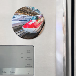 Two Shinkansen at the Tokyo Station Magnet