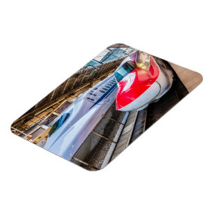 Two Shinkansen at the Tokyo Station Magnet