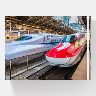 Two Shinkansen at the Tokyo Station Paperweight