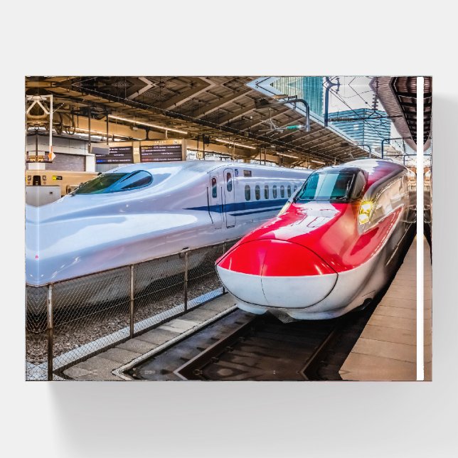 Two Shinkansen at the Tokyo Station Paperweight (Front)