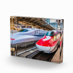Two Shinkansen at the Tokyo Station Photo Block
