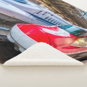 Two Shinkansen at the Tokyo Station Sherpa Blanket