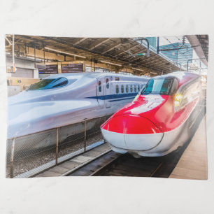 Two Shinkansen at the Tokyo Station Trinket Tray