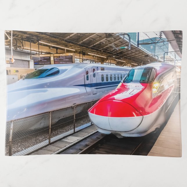 Two Shinkansen at the Tokyo Station Trinket Tray (Front)