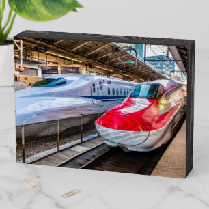 Two Shinkansen at the Tokyo Station Wooden Box Sign
