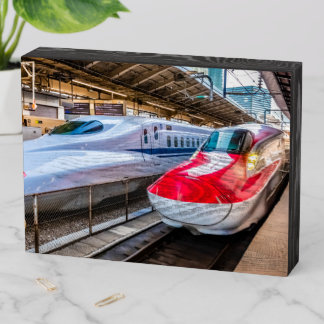 Two Shinkansen at the Tokyo Station Wooden Box Sign