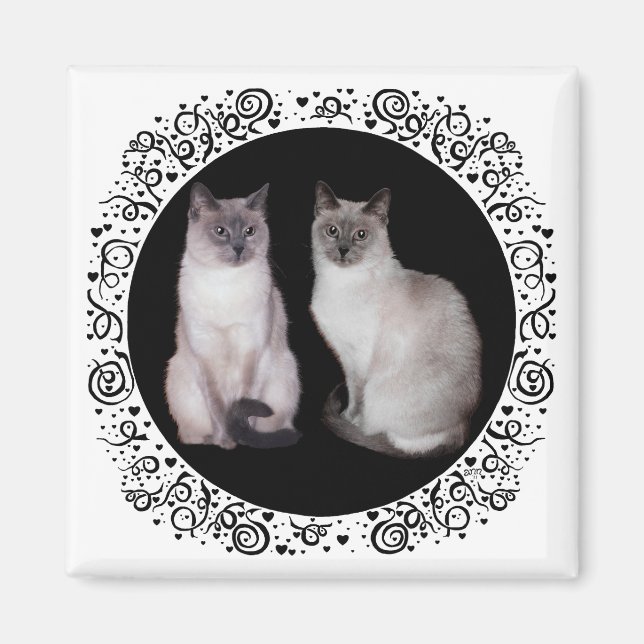 Two Siamese Cats Magnet (Front)