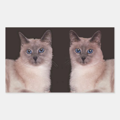 Two Siamese Cats Rectangular Sticker