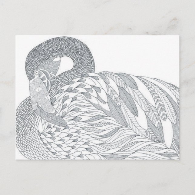 two sided swan adult coloring postcard gift (Front)