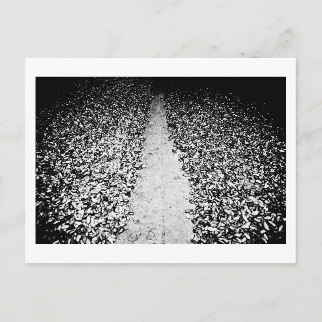 two sides of cocoa postcard (Front)