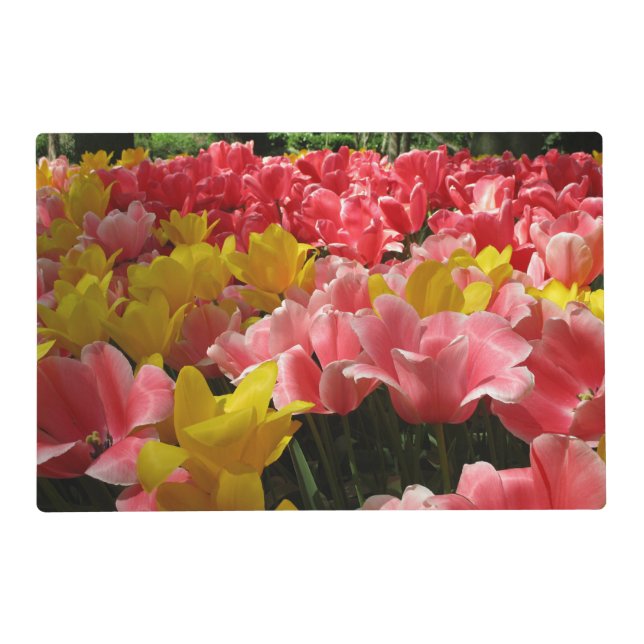 Two Sides of Floral Joy Laminated Placemat (Front)