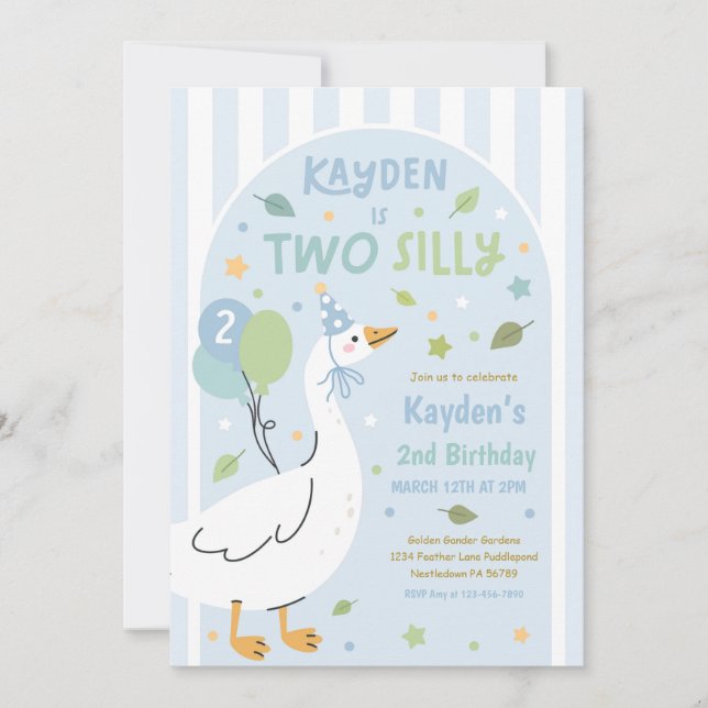 Two Silly Goose 2nd Birthday Party Spring Birthday Invitation (Front)