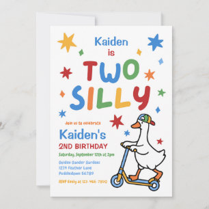 Two Silly Goose Boy Colorful 2nd Birthday Party Invitation