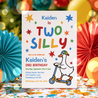 Two Silly Goose Boy Colorful 2nd Birthday Party Invitation