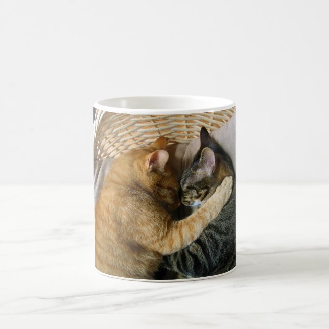 Two Sleeping Tabby Cats Cuddling Coffee Mug (Center)