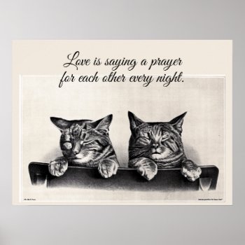 Two Sleepy Cats  Vintage Photo  Love Is ... Poster by randysgrandma at Zazzle