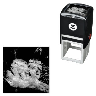 Two Sleepy Frogmouth Owls, Self-inking Stamp