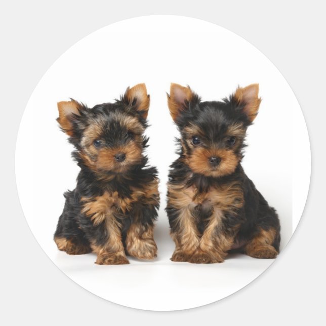 Two small supers classic round sticker (Front)