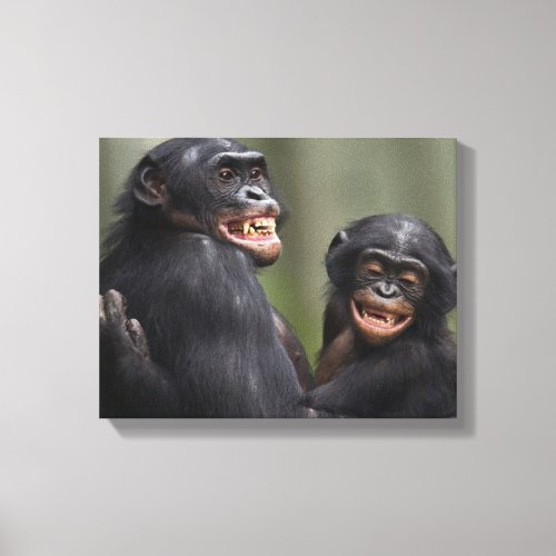 Two Smiling Bonobos Canvas Print