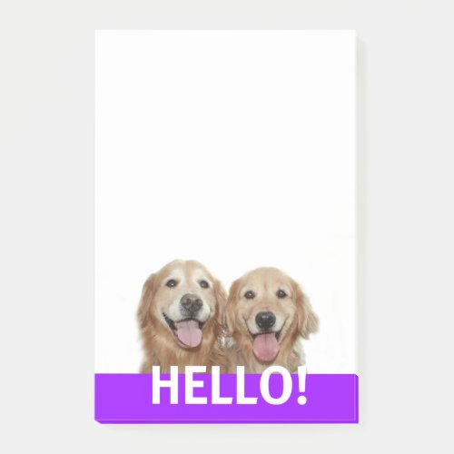 Two Smiling Golden Retriever Dogs Hello Post_it Notes