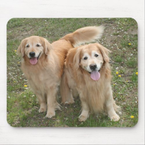 Two Smiling Golden Retriever Dogs in the Park Mouse Pad