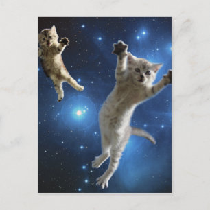 Two Space Cats Floating Around Galaxy Postcard