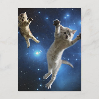 Two Space Cats Floating Around Galaxy Postcard