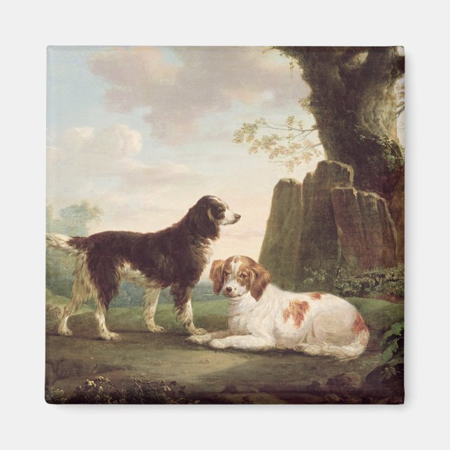 Two spaniels in a landscape magnet (Front)