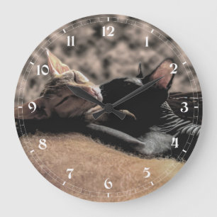 Two Sphynx Cats Kissing - Love Real Photo Large Clock