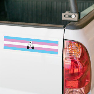 Two-Spirit Trans Pride Flag Bumper Sticker