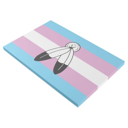 Two_Spirit Trans Pride Flag Gallery Wrap