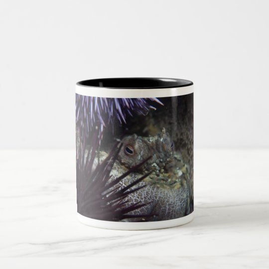 Two-spot Octopus Two-Tone Coffee Mug