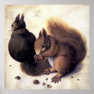 ‘Two Squirrels’ by Albrecht Dürer Poster