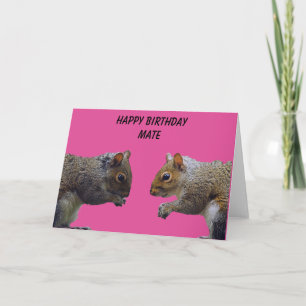 Two Squirrels Happy Birthday Mate Card