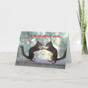 Two Squirrels Sharing Card