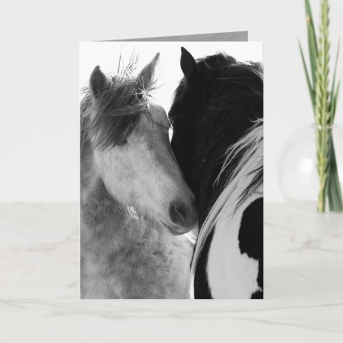 Two Stallions Wild Horse Greeting Card