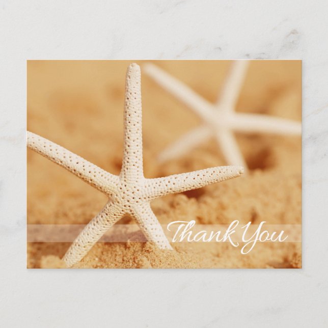 Two Starfish Thank You Postcard (Front)