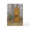 Two-story Outhouse for Voters and Politicians