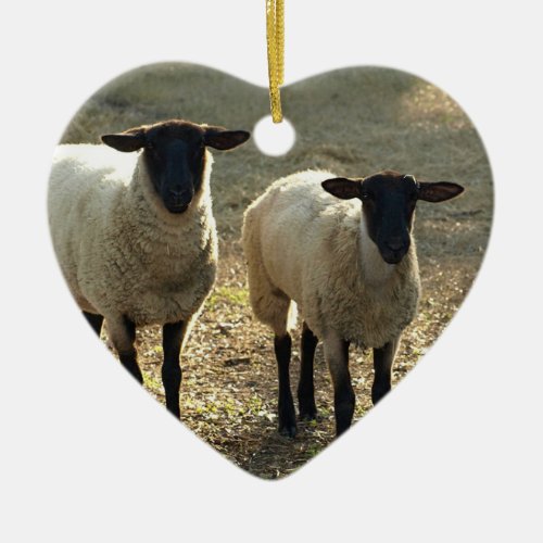 Two Suffolk Sheep Sunlight Pasture Ornament