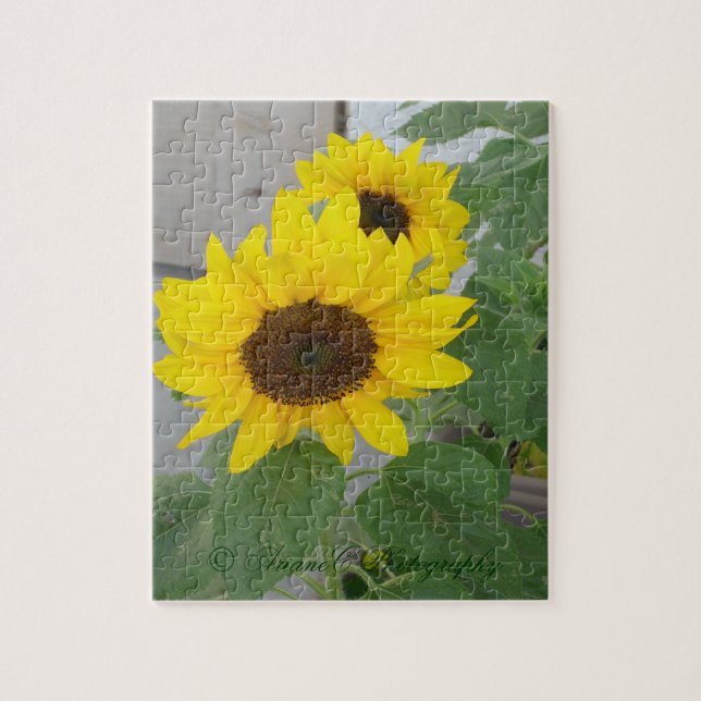 Two sunflowers puzzle (Vertical)