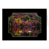 Two Swans (Front Horizontal)